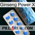 Ginseng Power X 40